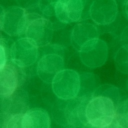 Bokeh-440